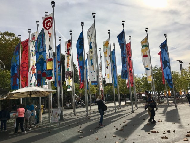 D15E81E2-8D28-46F9-95BF-6DBF72C0F50D