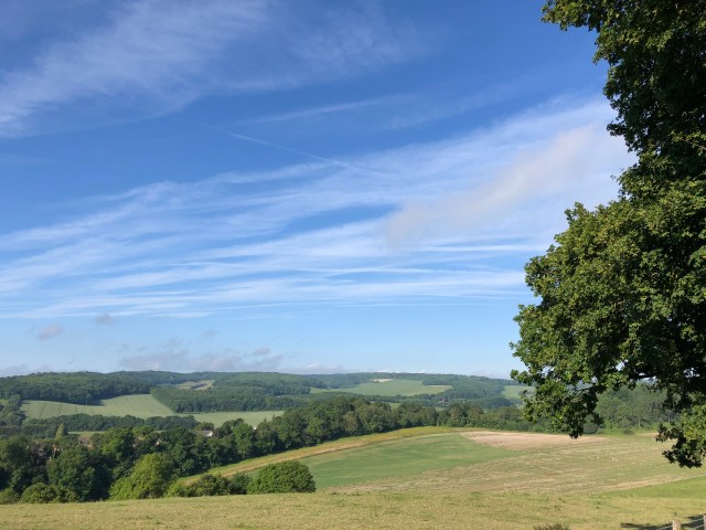 5BF0D549-1BC1-4DDB-A7DF-C37959F0F1FE